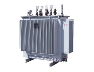 المحول: S9 \ S11 \ S13 المحولات المملوءة بالسائل